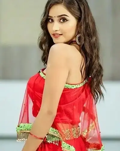 Escort In Manikonda